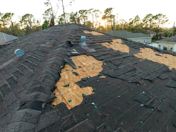 Best Cold Roofs  in Towamensing Trails, PA